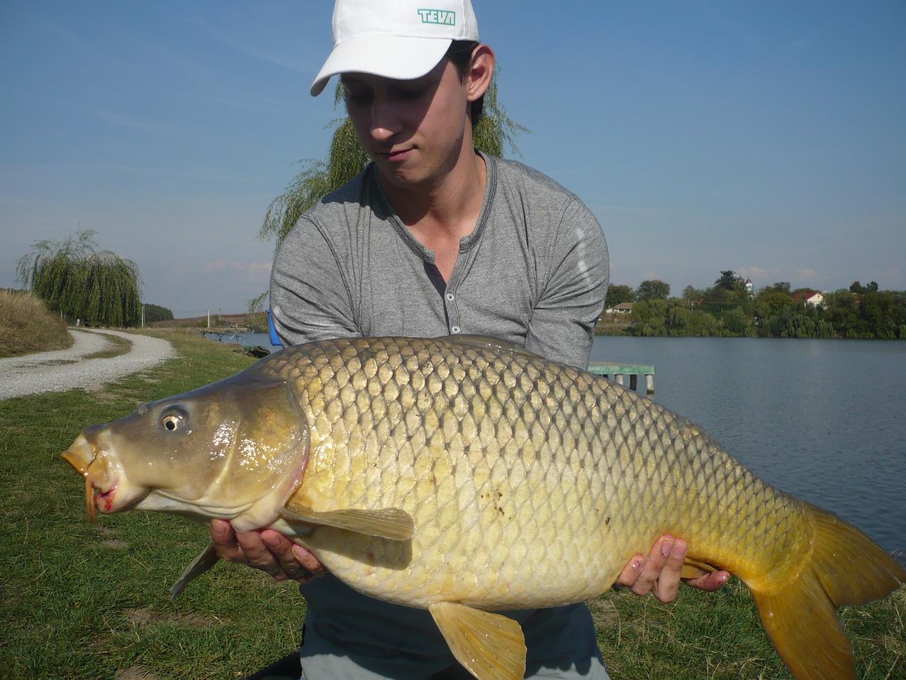 MV 2 - 1.OCT.2014 - p1020876.JPG